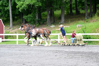 AJB_2957