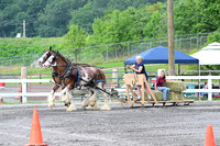 AJB_2959