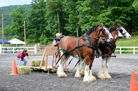 AJB_2963