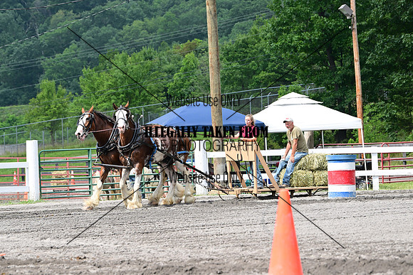 AJB_2967