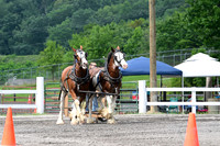 AJB_2968