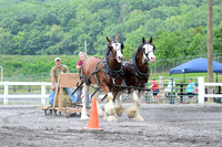 AJB_2971