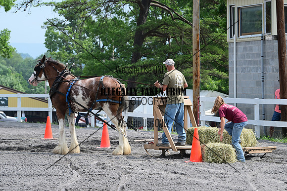 AJB_3071