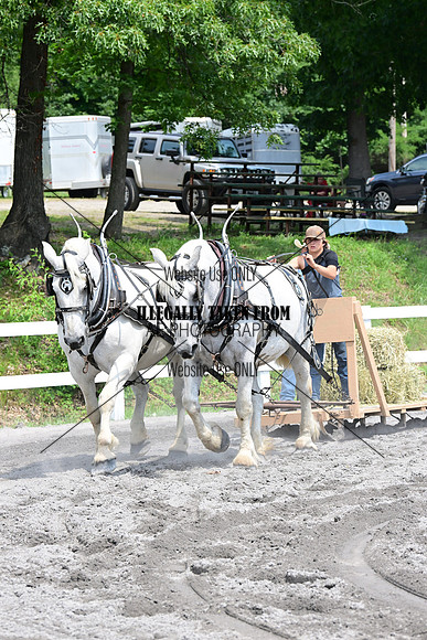 AJB_3119