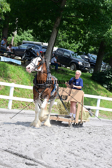AJB_3182