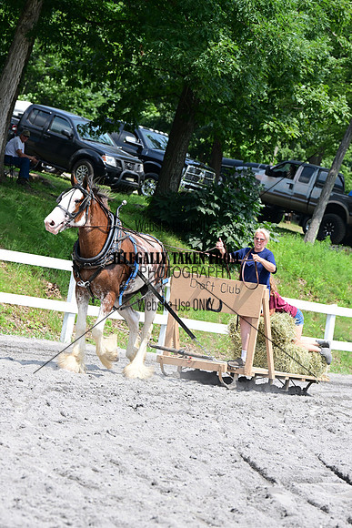 AJB_3181