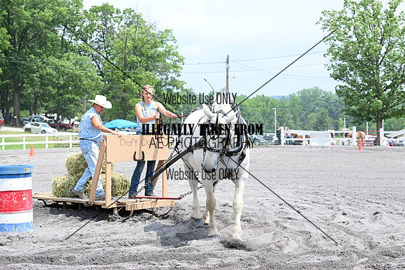 AJB_3239