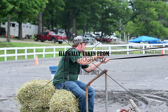 AJB_3275