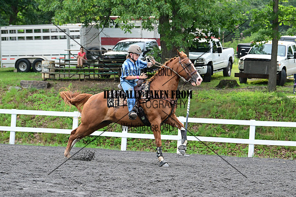 AJB_4056