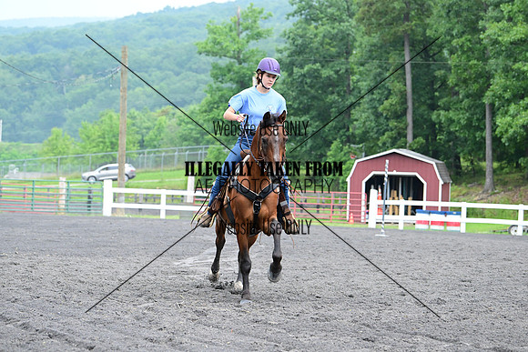 AJB_3683