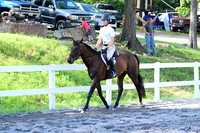 AJB_5683