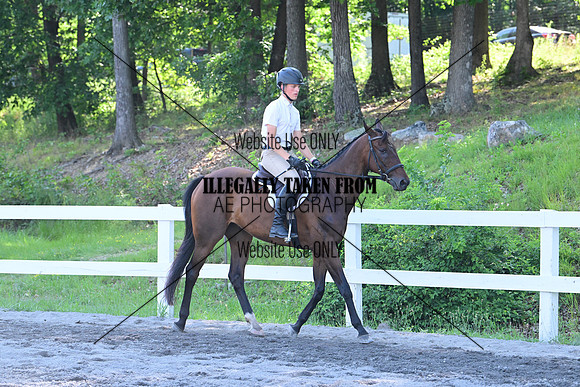 AJB_5705