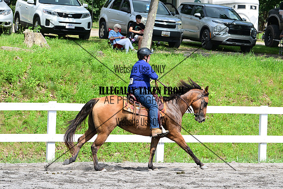 AJB_4594