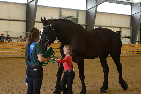 Jr. Youth Showmanship-53