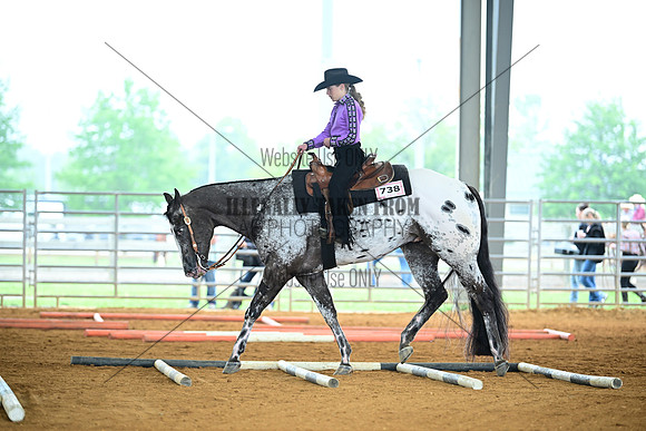 AJB_0460