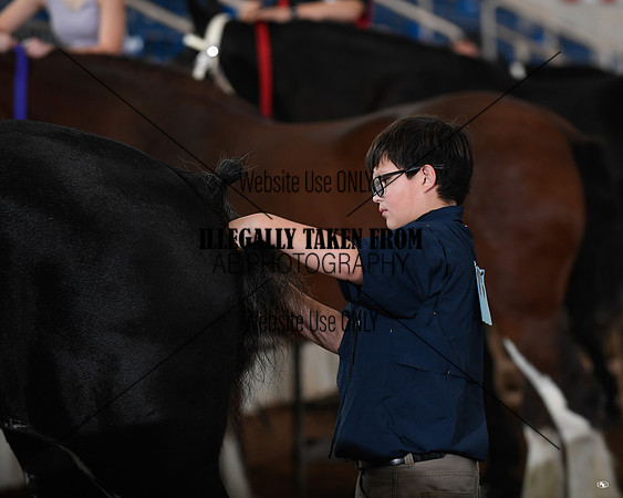 shires_5298