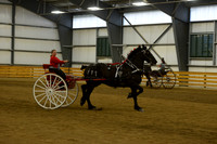 Ladies Cart_Percheron-14