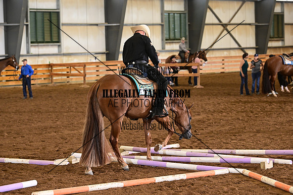 AJB_8457