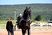 AJB_4418