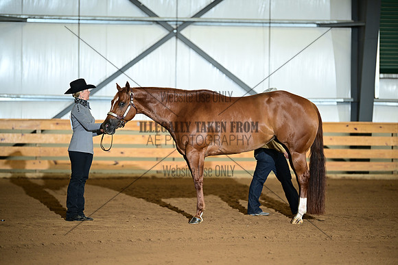 ASH_2580