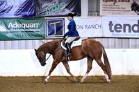 78 Amateur Select Hunter Under Saddle