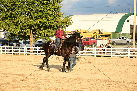AJB_0752