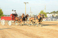 Four Horse Hitch_Amateur_youth-8