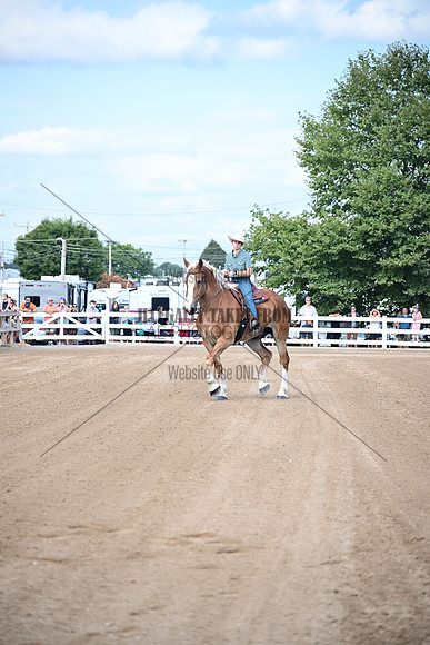 AJB_0378