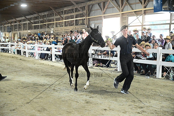 AJB_0697