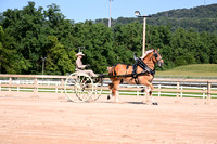 AJB_4611