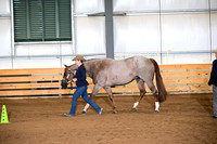 15. Amateur performance mares