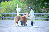 AJB_0946