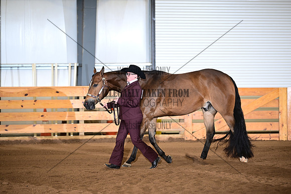 ASH_7625