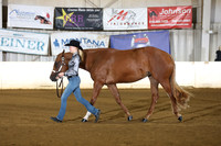 45. Youth Three Year Old Mares