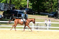 AJB_0873