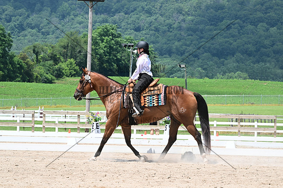 AJB_2954