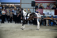 AJB_0960