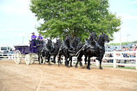 AJB_0446