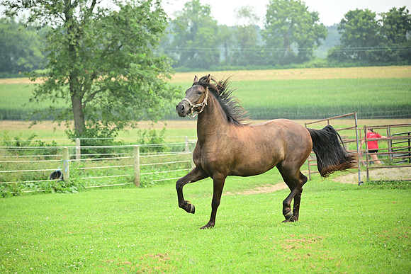 AJB_4819