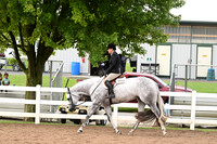 AJB_6462