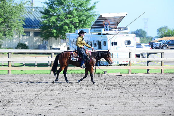 STE_0584