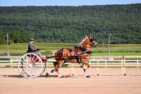AJB_4402