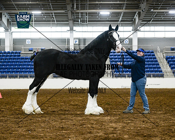noetheast_0391