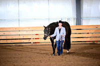Level 1 Amateur Performance Geldings