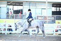 AJB_6616