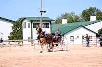 AJB_4579