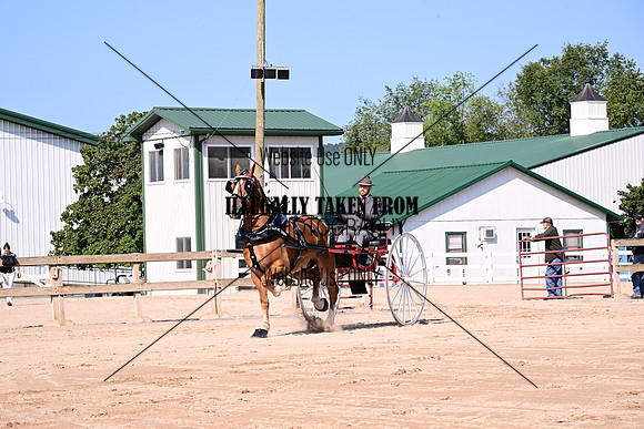 AJB_4579