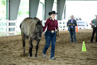 AJE_5446