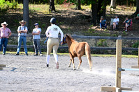 AJB_1172