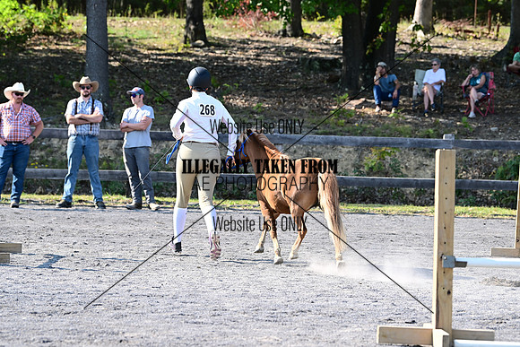 AJB_1172